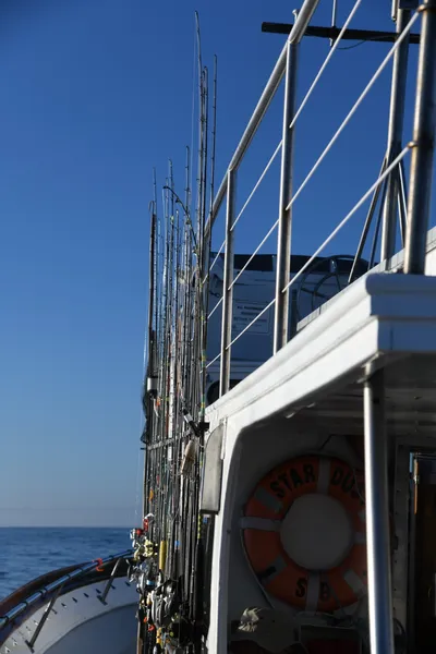 DSC_6584 (Large).JPG